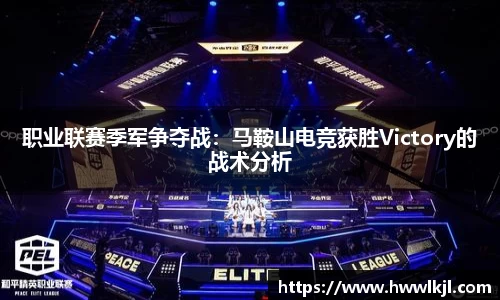 雷竞技raybet官网